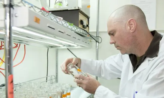 ‘Probiotics’ for Plants Boost Detox Abilities; Untreated Plants Overdose and Die