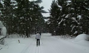 5 Reasons to Ski the Great Bear Chase