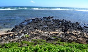 Trip to Beautiful Hawaii