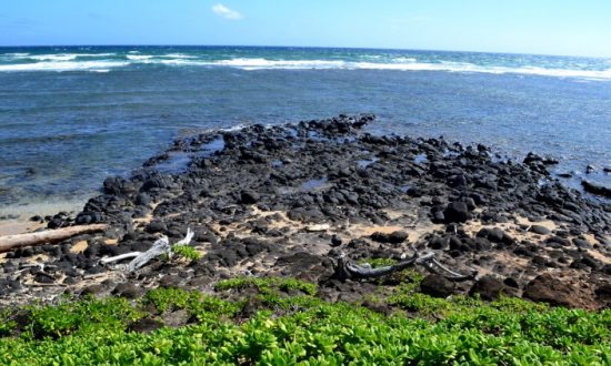 Trip to Beautiful Hawaii