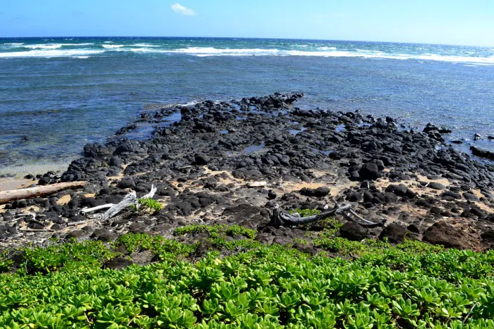 (Greg Prohl, Prohl Travel)