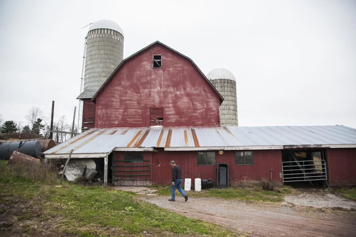 Bill Graby, a dairy farmer, on his land in Sullivan County, N.Y., on Nov. 13, 2014. Graby was forced to file bankruptcy and may lose his over 100-year-old family farm. The recent decision announced by Gov. Andrew Cuomo’s administration to ban fracking throughout the state of New York has struck a nerve among upstate landowners. (Samira Bouaou/Epoch Times)