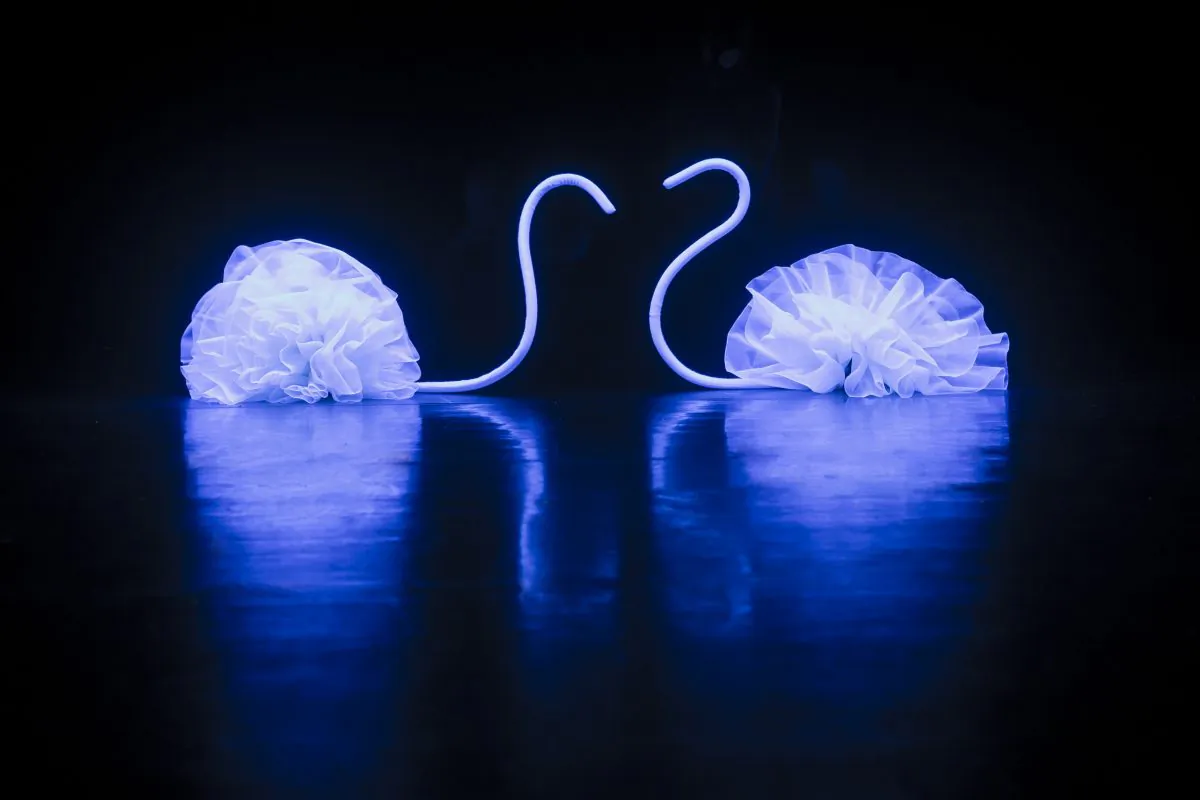 Swan-like creatures that seem to be in love. (Mummenschanz)