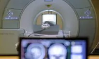 Scientists Locate ‘Homing Signal’ in the Brain, Explaining Why Some People Are Better Navigators