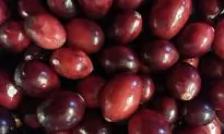 Health Benefits of Cranberries