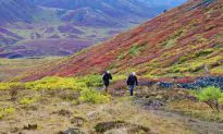 The Goldensides Hike in Tombstone Territorial Park, Yukon