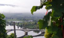 Wine Legends of the Mosel – Old and New