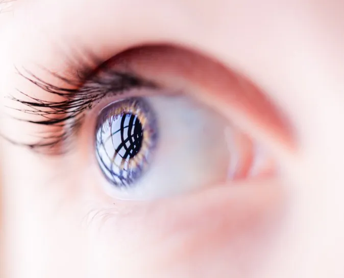 (Shutterstock*)