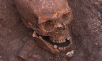 Skeleton Remains Officially Declared to be King Richard III’s (Video)