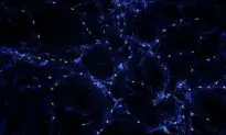 Blackholes Align in ‘Spooky’ Way, Showing Great Order of Universe
