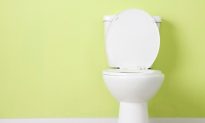 World Toilet Day Highlights Importance of Sanitation in Overcoming Diseases Like Ebola