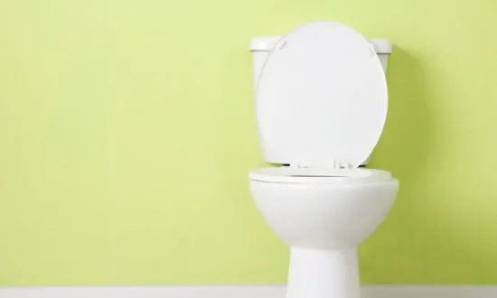 World Toilet Day Highlights Importance of Sanitation in Overcoming Diseases Like Ebola