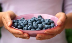 Blueberries Reduce Body Fat and Lowers Diabetes Risk