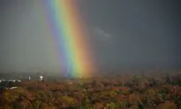 Why Most Rain Falls on the Driest Soil