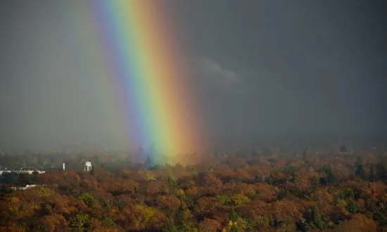 Why Most Rain Falls on the Driest Soil