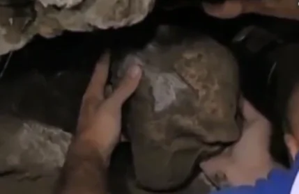 540,000-Year-Old Artwork Discovered on Shell (Video)