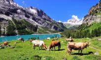 The Best Switzerland Attractions to See on Your Holiday