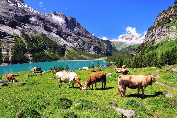 Switzerland via Shutterstock*