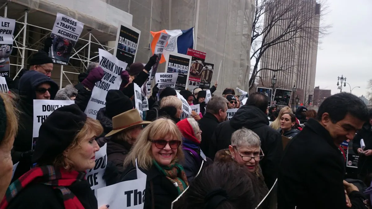 Supporters of the horse-drawn carriage ban bill rally at City Hall in New York on Dec. 8, 2014. (Catherine Yang/Epoch Times)