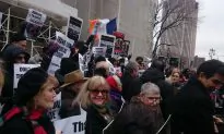 Horse Carriage Ban Supporters Celebrate Introduction of Bill