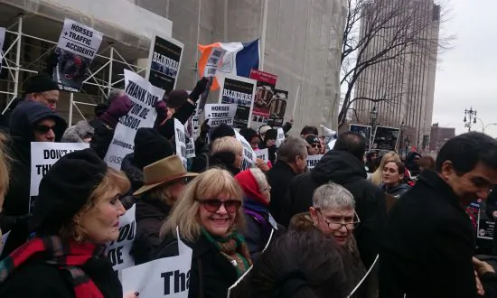 Horse Carriage Ban Supporters Celebrate Introduction of Bill