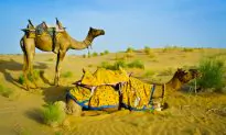 Rajasthan – 20 Amazing Facts!