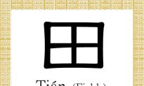 Chinese Character for Fields: Tián (田)