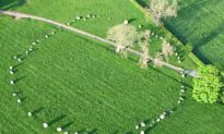 The Legend of the Stone Circle ‘Long Meg and Her Daughters’