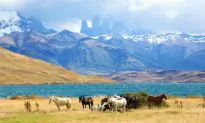 The Best of Chile