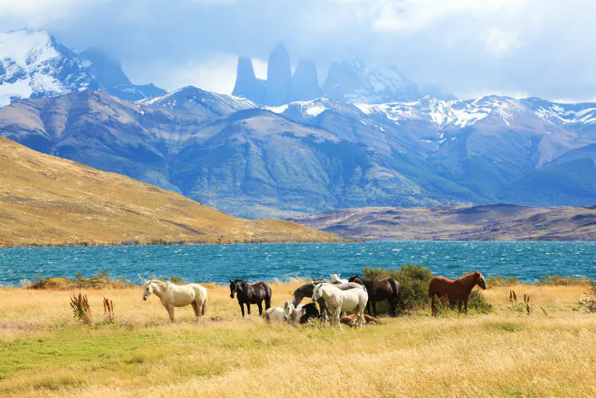 Park Torres del Paine in Chile via Shutterstock*