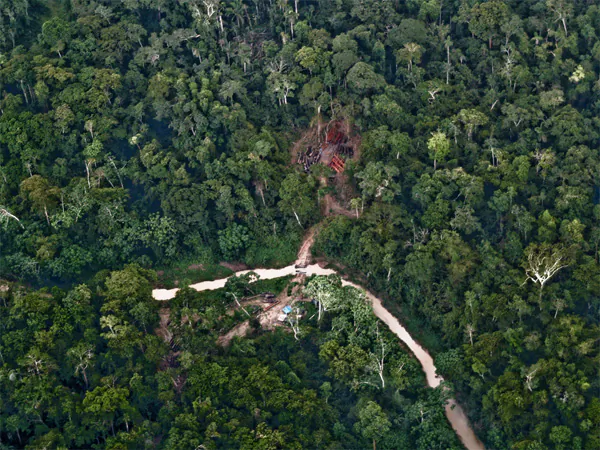 Illegal logging road through the Murunahua reserve for isolated indigenous peoples. Image © Chris Fagan of Upper Amazon Conservancy (UAC). 