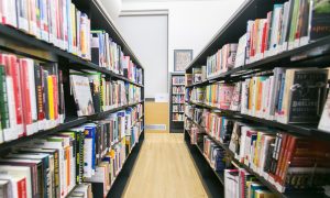 The Calamity of the Disappearing School Libraries
