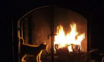 Five Ways to Keep Your Home Warm This Winter