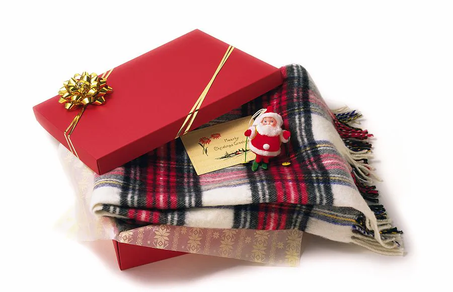 Cuddle up to a soothing and luxurious travel blanket instead of a flimsy one handed out by the airline. (DAJ/thinkstock)
