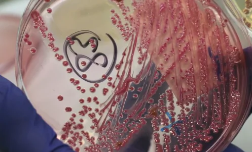 Drug-Resistant Bugs Could Lead to 10M Deaths by 2050 (Video)