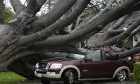California Whacked by ‘Pineapple Express’ Storm