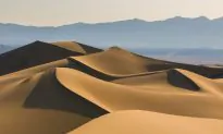 Why Big Sand Dunes on Saturn’s Moon Titan Look so Familiar