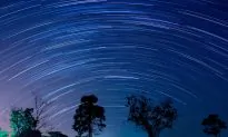 The Geminids Meteor Shower Should Be One of the Best This Year