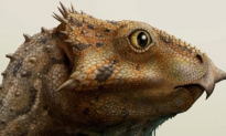 Oldest Horned Dinosaur Species Found in US (Video)