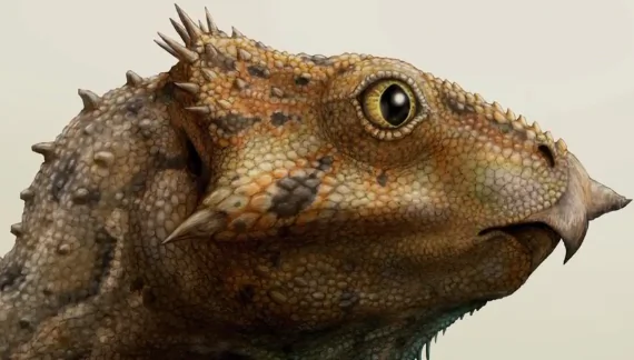 Oldest Horned Dinosaur Species Found in US (Video)