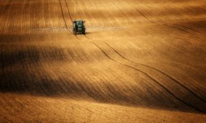 Are You Sensitive to Gluten, or Just Roundup? American Wheat Often Doused With Toxic Herbicide Before Harvest