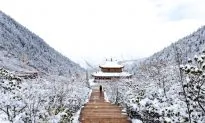 Winter Verses From the Tang Dynasty