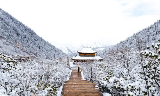 Winter Verses From the Tang Dynasty