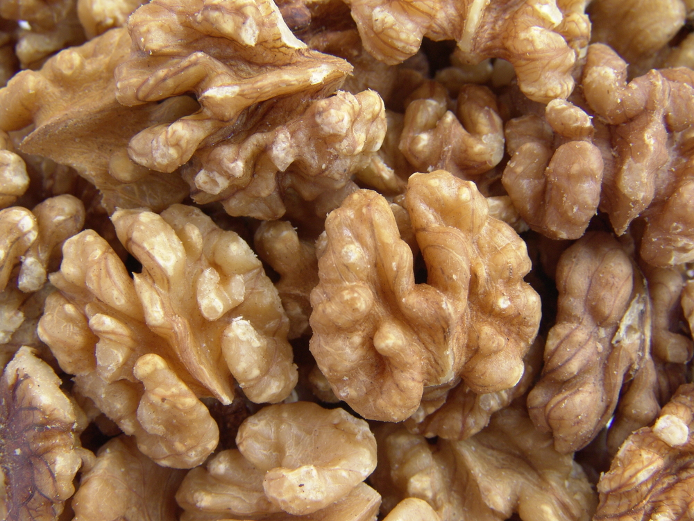walnut