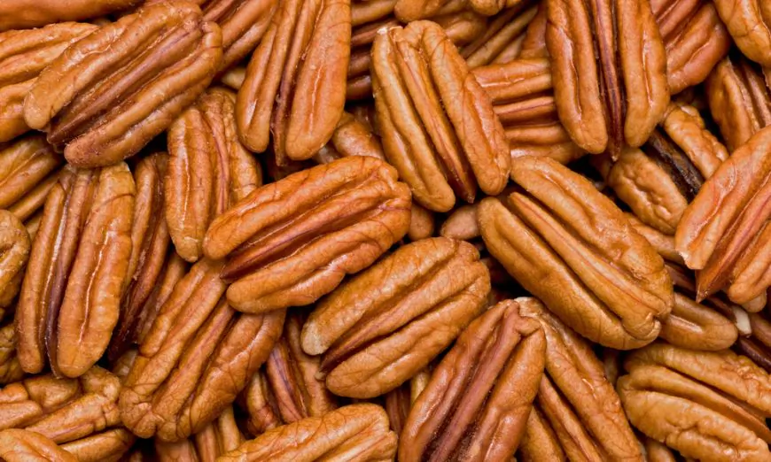 (Shutterstock/Glenn Price)