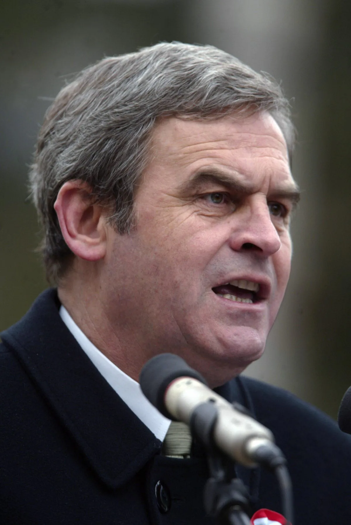 Laszlo Tokes, who sparked the 1989 anticommunist revolt in the western Romanian city of Timisoara, addresses ethnic Hungarians during a demonstration attended by around 10,000 people in Odorheiul Secuiesc, Romania on March 15, 2006.
(Daniel Mihailescu/AFP/Getty Images)