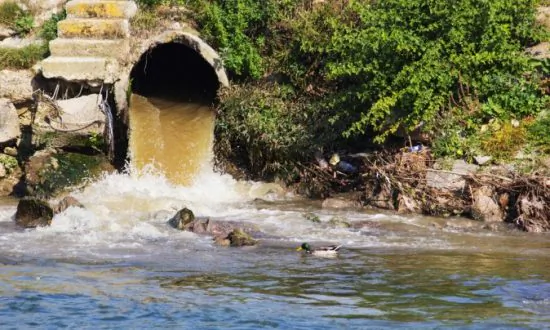 There’s No Evidence That Sewage Isn’t Teeming With Ebola Virus, According to Researchers Disputing WHO’s Claims