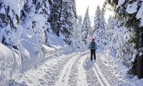 5 Easy Winter Adventures in the Canadian Rockies