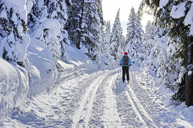 Cross-country skiing in Peter Lougheed Park (Leigh McAdam, Hike BikeTravel)