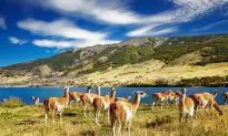 Patagonia – ‘The Big Three’